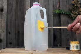 Pin By Wendy Epps On House Cleansing Pantry Moths Meal Moths Pantry Bugs