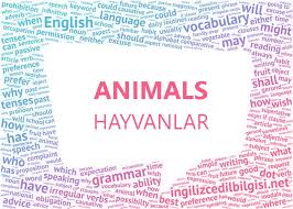 Ingilizce Hayvanlar Ve Okunuslari Animals Resimli Sesli
