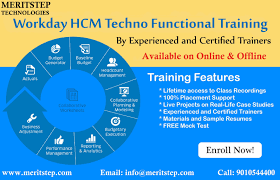 Workday Hcm Techno Functional Online Training In 2020 Online Training Functional Training Online Training Courses