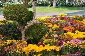 Visitors are encouraged to purchase floria 2018 tickets online from may 1, 2018 at a lower rate than ticket. Royal Floria Putrajaya 2018 10 Wonders Of Floria Xplorasi Destinasi