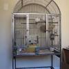 Shop chewy for small and large bird cages and accessories for all size breeds of birds. 3