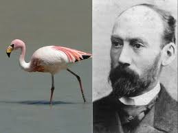 The Oaks Bake House and the Flamingo named after the owner