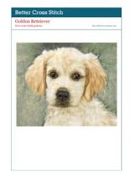 Only guaranteed quality, healthy cream or gold, but always so gorgeous, discover our golden retriever puppies for sale, from many of the finest, champion winning breeders in europe. Acquiring A Golden Retriever Golden Retriever Pdf4pro