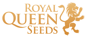 Customers must buy diamonds at minimum price of special event cut the price. Royal Queen Seeds Review 2021 10buds Cannabis Growing Guide