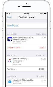 How I Can Pay For The Pending In Purchase Apple Community