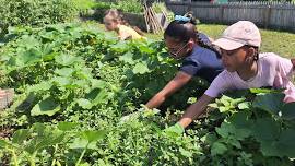 Grow & Gather: Family Gardening Program