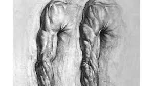 I am extremely excited to bring you these lessons on drawing the muscles. How To Draw An Arm Creative Bloq