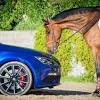 Иллюстрация к новости по запросу Seat (motor.ru)
