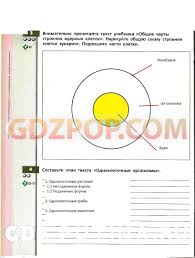 Rainbow English 3 класс рабочая тетрадь аудио слушать онлайн Reshebnik Nemeckogo Za 4 Klass Avtor Bim Algebra Blog Testy