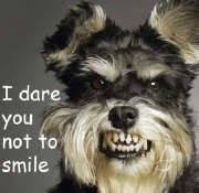 You can also share it. Cute And Funny Animals Home Facebook