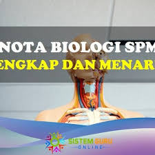 Nota kreatif biologi tingkatan 5 : Nota Biologi Spm Yang Lengkap Dan Kreatif
