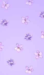 See more ideas about purple, pastel purple, purple aesthetic. Aesthetic Lavender Background Pastel Aesthetic Pastel Purple Wallpaper Iphone Purple Wallpaper Phone Light Purple Wallpaper Purple Wallpaper Iphone