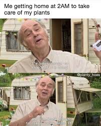 Succulentcity Com Community Of Succulent Cacti Plant Lovers Funny Relatable Memes Plant Jokes Stupid Funny Memes