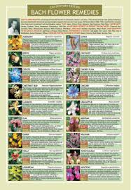 Bach Flower Remedies Chart