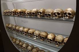 The spine, or backbone, is made up of a column of 33 bones and tissue going from the skull to the pelvis. Divisions Of The Skeletal System Ck 12 Foundation