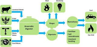 Fact Sheet Biogas Converting Waste To Energy White