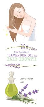 Lavender oil is the oil extracted from these old herbaceous plant called lavandula angustifolia, mostly known as lavender. 6 Best Uses Of Lavender Oil For Hair Growth I Fashion Styles