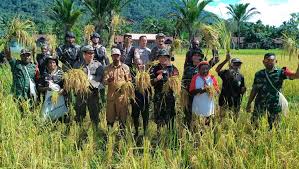 Papua Perkuat Fondasi Ekonomi Melalui Program Ketahanan Pangan