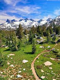 It has over 10,000 feet of climbing, with a large stretch on the treacherous skyline trail, the cactus to clouds hike should only be attempted by the very experienced and very fit hiker. Pacific Crest Trail Wikiwand
