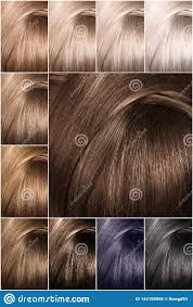 Hair Color Palette With A Wide Range Of Swatches Dyed Hair