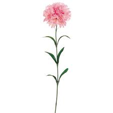Single Silk Carnation Stem In Pink 25 Tall Carnation Flower Tattoo Flowers Carnations