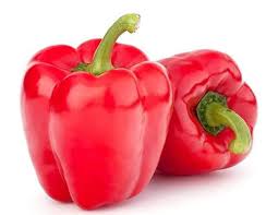 Image result for Capsicum
