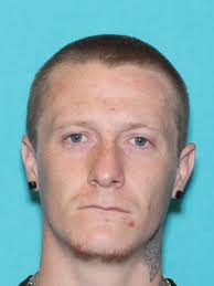 White Collar Crime Registry