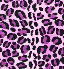 All of these purple background images and vectors have high. 44 Purple Cheetah Print Wallpaper On Wallpapersafari
