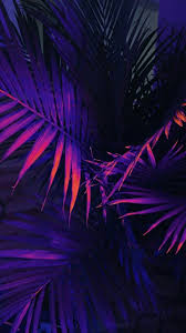 Image result for guitar purple wallpaper dark purple. Neon Purple Aesthetic Wallpapers Top Free Neon Purple Aesthetic Backgrounds Wallpaperaccess