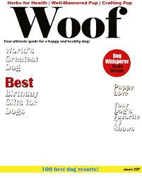 Blank Times Magazine Cover Template How To Use Magazine Cover Template Birthday Love Puppy Birthday