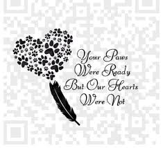 Create your diy project using your cricut explore, silhouette and more. Pin On Words