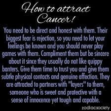 The question is how to attract a cancer man? 65 My Zodiac Add Ign Ideas Zodiac Zodiac Signs Cancer Astrology Cancer