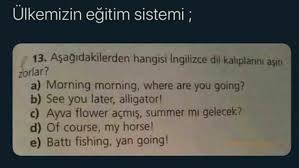 Gulcanturan Adli Kullanicinin Komik Capsler Panosundaki Pin