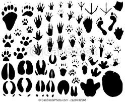 Mit heimischen jägern erkundeten die önj kids tierspuren rund um den unsere kostenlosen arbeitsblätter zum thema waldtiere helfen den kindern die tiere des waldes kennen zu lernen und ihre kenntnisse zu diesem. Tierspuren Abbildungen 40 Tierspuren Zum Ausdrucken Kostenlos Besten Bilder Von Ausmalbilder Die Ubersetzung Tierspuren Nach Russische Sprache Marzukimadeirawan