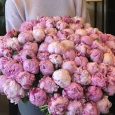 Maybe you would like to learn more about one of these? Luxury Flowers Miami Send White Flowers Flower Delivery Miami Fl