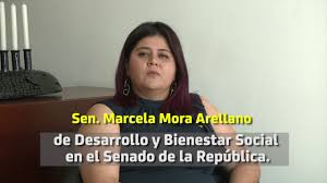 Image result for Justicia francoiseana