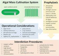 Our programs and initiatives look to improve the regulatory process and provide canadians pest control products and strategies with. Operational Prophylactic And Interdictive Technologies For Algal Crop Protection Springerlink