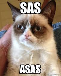 Sas Asas Grumpy Cat Make A Meme