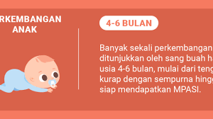 Usia kandungan 16 minggu 4 bulan kehamilan perkembangan janin dan kondisi ibu hamil. Perkembangan Bayi Usia 4 6 Bulan Dari Tengkurap Hingga Persiapan Mpasi Inspirasi Shopee