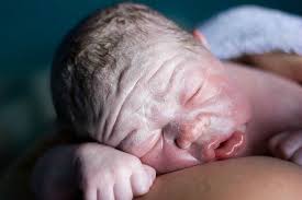 The vernix helps insulate baby and helps promote breastfeeding and many other good things, she the research certainly suggests that bialik is right — delaying that first bath could benefit a baby. Vernix Caseosa And Its Benefits Must Read Information For Parents