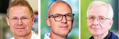 Thüringer Mediziner empfehlen Grünkohl gegen Krebs