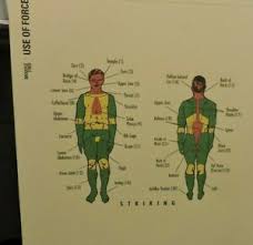 Details About Baton Training Chart Police Security Training Chart