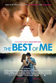 Valentine's Week: Best of Me (2015)