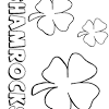 'the day of the festival of patrick'), is a cultural and religious celebration held on 17 march. Https Encrypted Tbn0 Gstatic Com Images Q Tbn And9gctmwgdac4u 6c8q91ha7d7qjaqpccostfkmm24vaq0vksv0sd M Usqp Cau
