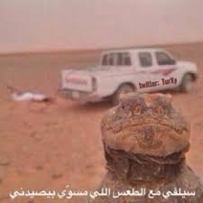 Fox سلفي نكته نكتة ضب الضب هههههههه Toy Car Toys Deserts