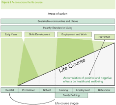 Action On The Social Determinants Of Health Ihe