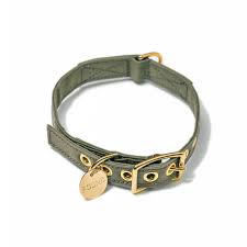 Olive Cotton Canvas Cat Dog Collar Found My Animal In 2020 Dog Collar My Animal Girl Dog Collars