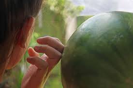 Good watermelon or bad watermelon? How To Tell If A Watermelon Is Ripe
