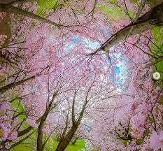 10 New Jersey Photos We Loved From this Week