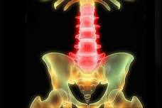 Foundations of Ortho-Bionomy®--Focus on Low Back and Pelvis